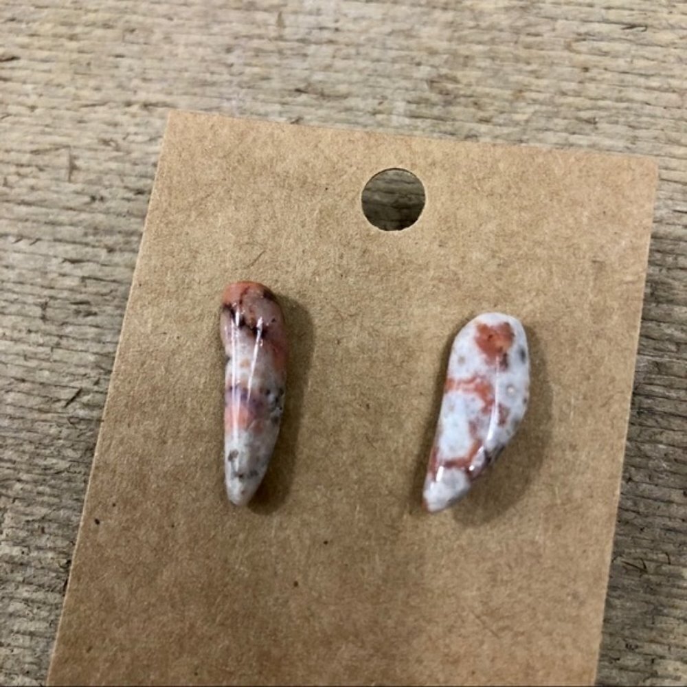 Fossilized Coral Jasper Earrings